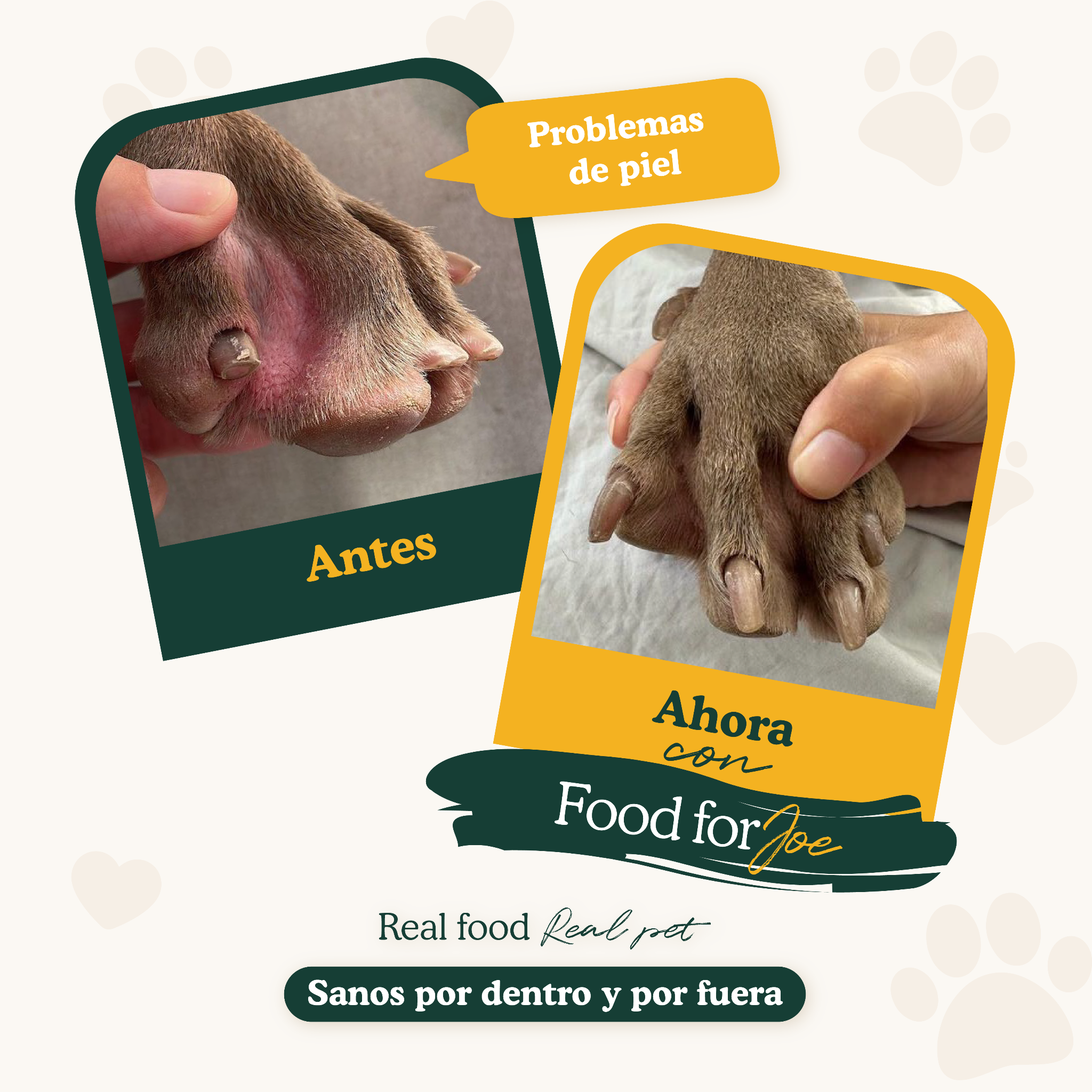 Antes y después: problema de piel en perro mejorado con Food for Joe