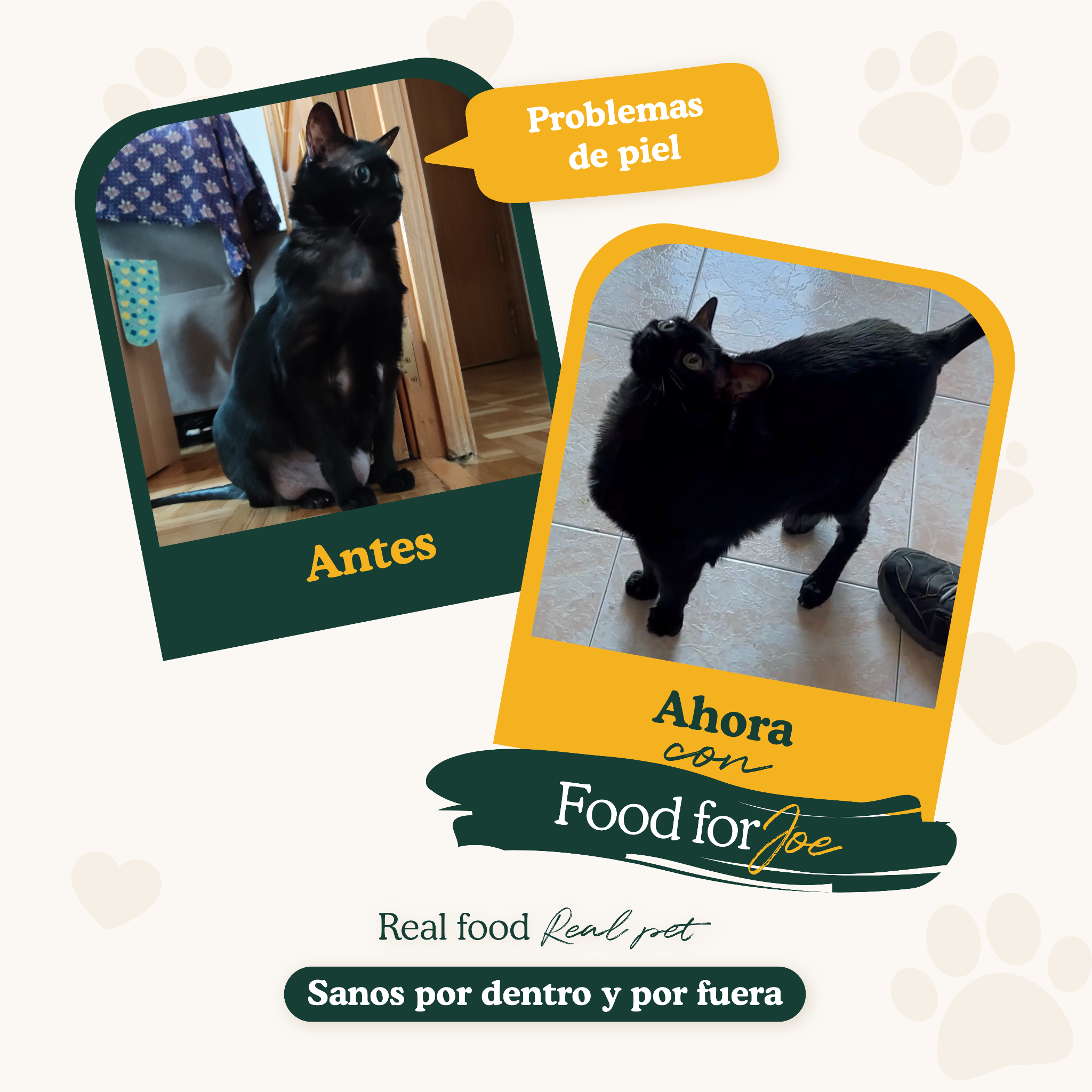Antes y después: gato con problema de piel mejora con Food for Joe