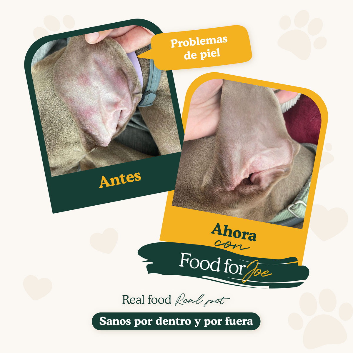 Antes y después: oreja de perro con piel irritada mejora con Food for Joe